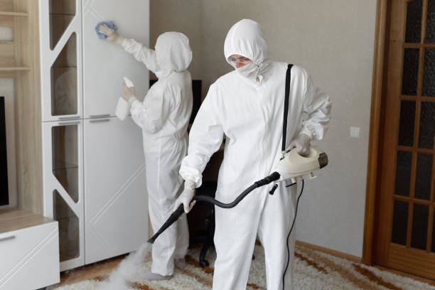 Best Emergency Mold Remediation  in Madisonville, TX